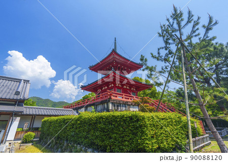 京都 初夏・新緑の季節 大覚寺 心経宝塔 京都 初夏・新緑の季節 大覚寺 心経宝塔 90088120