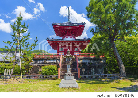 京都 初夏・新緑の季節 大覚寺 心経宝塔 京都 初夏・新緑の季節 大覚寺 心経宝塔 90088146