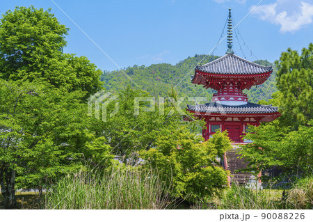 新緑の大覚寺（京都）放生池から望む心経宝塔 90088226