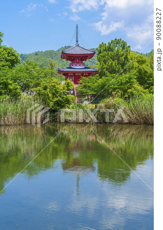 新緑の大覚寺(京都)放生池から望む心経宝塔 新緑の大覚寺(京都)放生池から望む心経宝塔 90088227