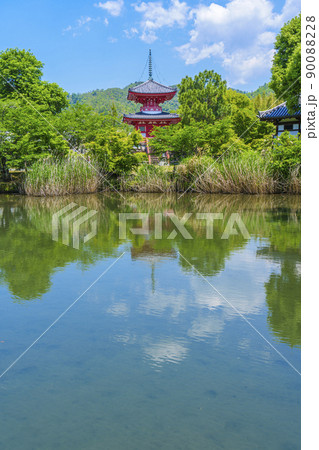 新緑の大覚寺（京都）放生池から望む心経宝塔 90088228