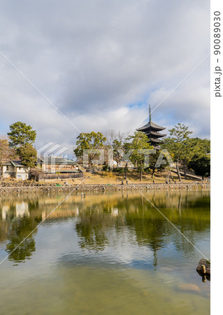 奈良の興福寺近くにある猿沢池 奈良の興福寺近くにある猿沢池 90089030