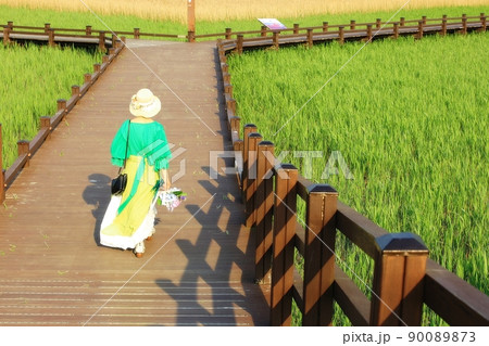 女性 女 女の子 90089873