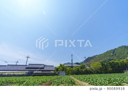 京都 嵯峨鳥居本の町並み(2022年 初夏・新緑の季節) 京都 嵯峨鳥居本の町並み(2022年 初夏・新緑の季節) 90089916