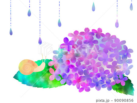梅雨の季節のカタツムリとアジサイ 90090856
