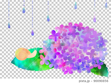 Snails and hydrangeas in the rainy season 90090856