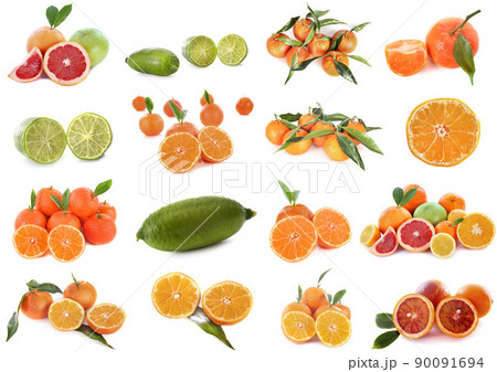 citrus fruits in studio 90091694