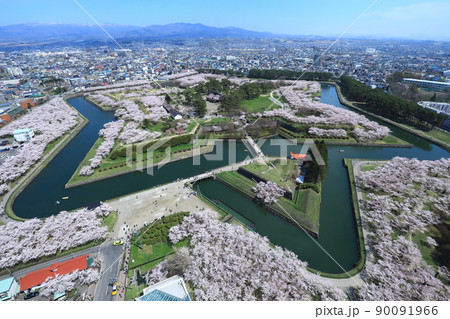 五稜郭タワーから見た五稜郭公園の桜 五稜郭タワーから見た五稜郭公園の桜 90091966