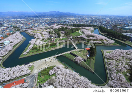 五稜郭タワーから見た五稜郭公園の桜 五稜郭タワーから見た五稜郭公園の桜 90091967