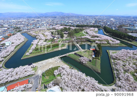 五稜郭タワーから見た五稜郭公園の桜 90091968