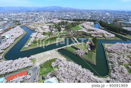 五稜郭タワーから見た五稜郭公園の桜 五稜郭タワーから見た五稜郭公園の桜 90091969