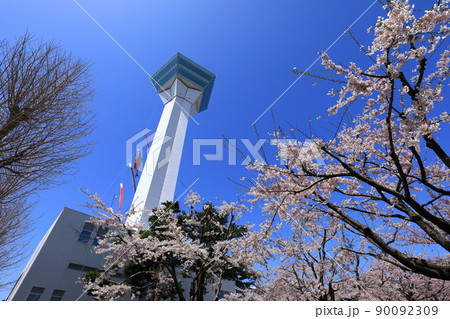 五稜郭タワーと五稜郭公園の桜 五稜郭タワーと五稜郭公園の桜 90092309