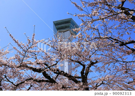 五稜郭タワーと五稜郭公園の桜 五稜郭タワーと五稜郭公園の桜 90092313