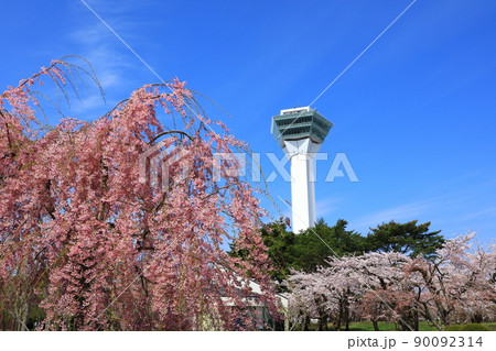 五稜郭タワーと五稜郭公園の桜 五稜郭タワーと五稜郭公園の桜 90092314