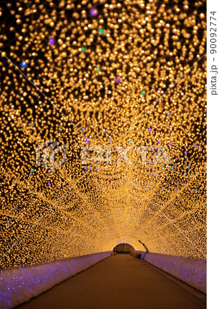 〔三重県桑名市・5月〕華回廊（光のトンネル）　なばなの里 90092774