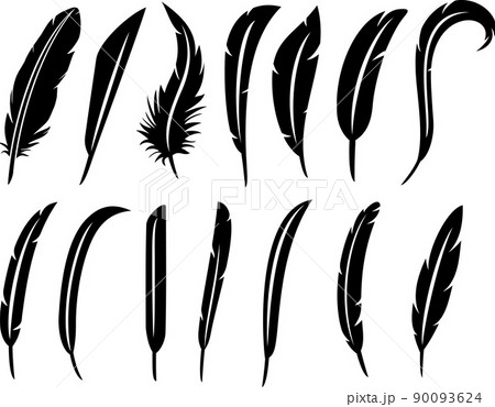 The collection of feathers The collection of feathers 90093624