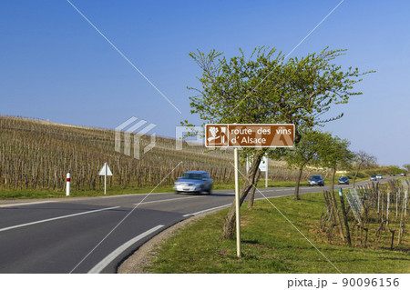 Wine road near Colmar, Alsace, France 90096156