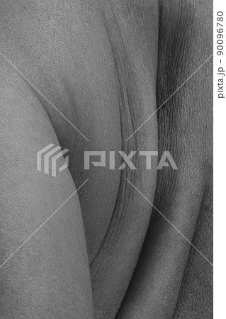 Back. Detailed texture of human female skin. Close up part of woman's body. Skincare, bodycare, healthcare, hygiene and medicine concept. Macro photography Back. Detailed texture of human female skin. Close up part of woman's body. Skincare, bodycare, healthcare, hygiene and medicine concept. Macro photography 90096780