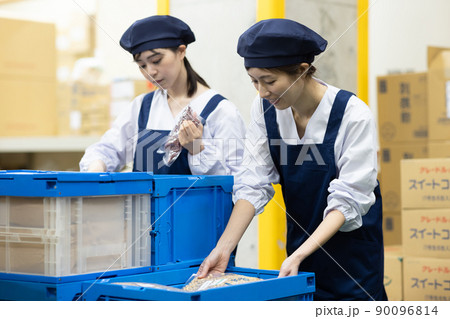 仕事をする女性 仕事をする女性 90096814