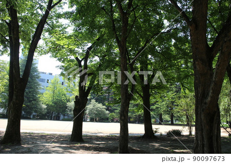 仙台市青葉区　錦町公園 90097673