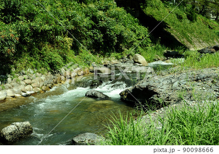 小川の水の流れ 小川の水の流れ 90098666