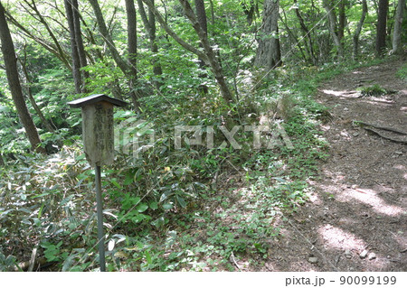 高旗山 90099199
