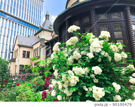 東京赤坂・東京ガーデンテラス紀尾井町のローズガーデン 東京赤坂・東京ガーデンテラス紀尾井町のローズガーデン 90100479