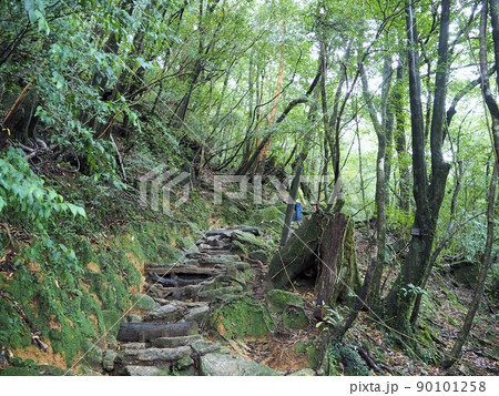 白谷雲水峡の風景 白谷雲水峡の風景 90101258