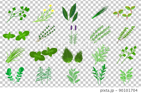 藥草集圖 90101704