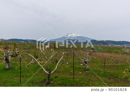青森県ぶらぶら散歩、津軽弘前岩木山眺望 90101828