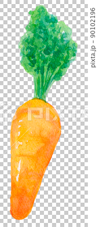 人参　水彩イラスト 90102196