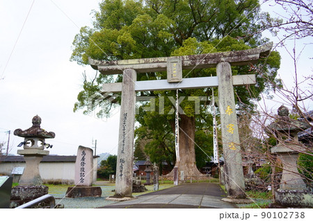 津江神社のクスノキの大木(福岡県八女市黒木町) 津江神社のクスノキの大木(福岡県八女市黒木町) 90102738