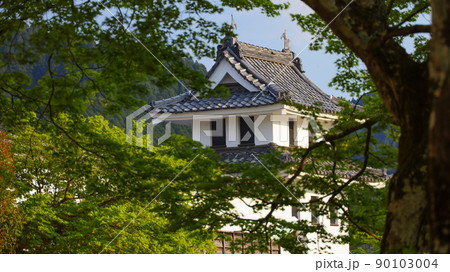 郡上八幡城 郡上八幡城 90103004