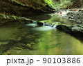 新緑の梅ヶ瀬渓谷小さな水辺 90103886