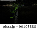 房総半島ゲンジボタルの軌跡 90103888