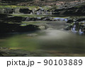 新緑の梅ヶ瀬渓谷清流の流れ 90103889