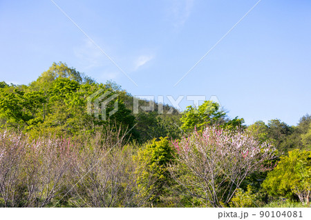 中之条町　山の上庭園 90104081
