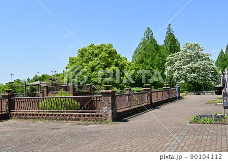 長良公園・沈床花園とヒトツバダコの花 90104112