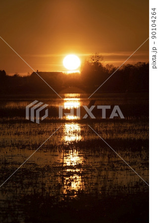 A scenic view of the red sunset reflecting on the swamp A scenic view of the red sunset reflecting on the swamp 90104264
