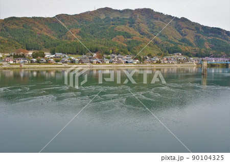 九頭竜川鳴鹿大堰からの泳ぐ鴨の集団 九頭竜川鳴鹿大堰からの泳ぐ鴨の集団 90104325