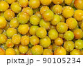 梅のしらぼし、梅干し 、うめぼし、 食材 、食べ物 90105234