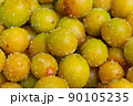 梅のしらぼし、梅干し 、うめぼし、 食材 、食べ物 90105235