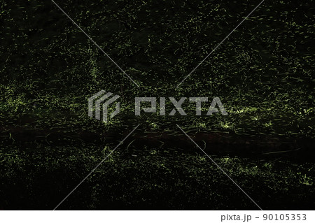 【夏イメージ】ホタルの乱舞 90105353