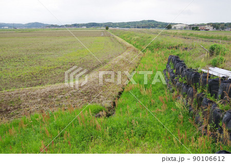 水田の用水路に沿った法面の雑草が成長している状態 水田の用水路に沿った法面の雑草が成長している状態 90106612