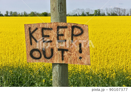 Homemade Keep Out Signs Posted at Edge of Canola Field to Warn Trespassers to Stay Out  90107377