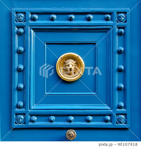 Lion door 90107918