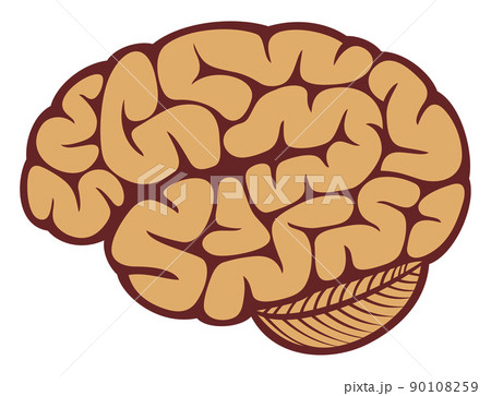 The human brain The human brain 90108259