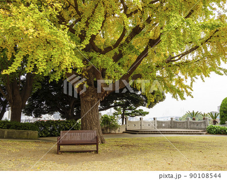 異国情緒漂う神奈川県横浜市山手の西洋館の晩秋（紅葉） 90108544