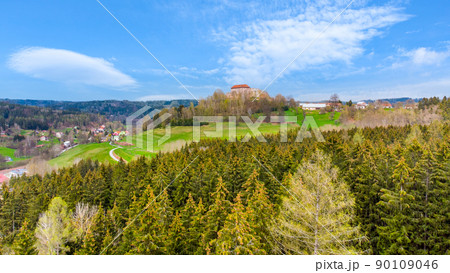 Pecka medieval castle from above Pecka medieval castle from above 90109046
