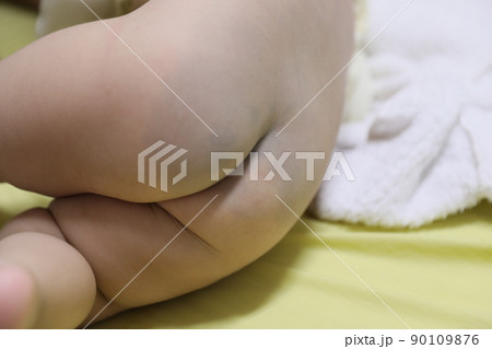 尻 ロバ 菊門 90109876